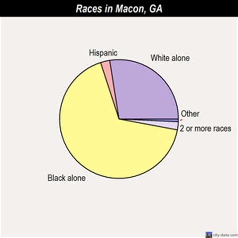 macon demographics|Macon, GA Demographic Statistics .